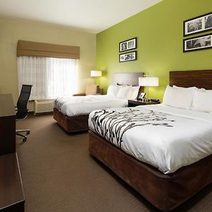 Double Room Two Double Beds Non-Smoking